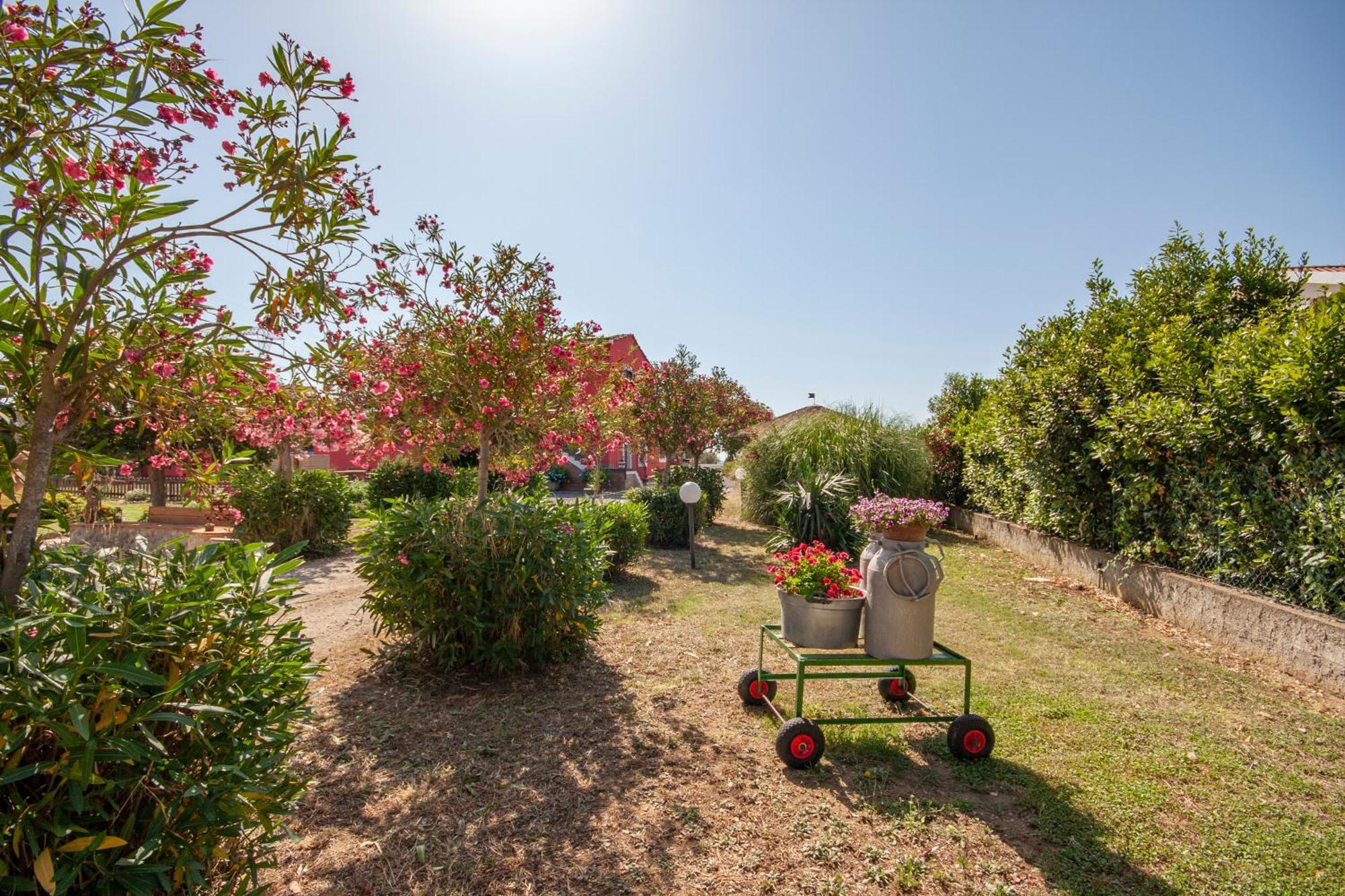 Agriturismo L'Istrice Di Gio Montalto di Castro Bagian luar foto
